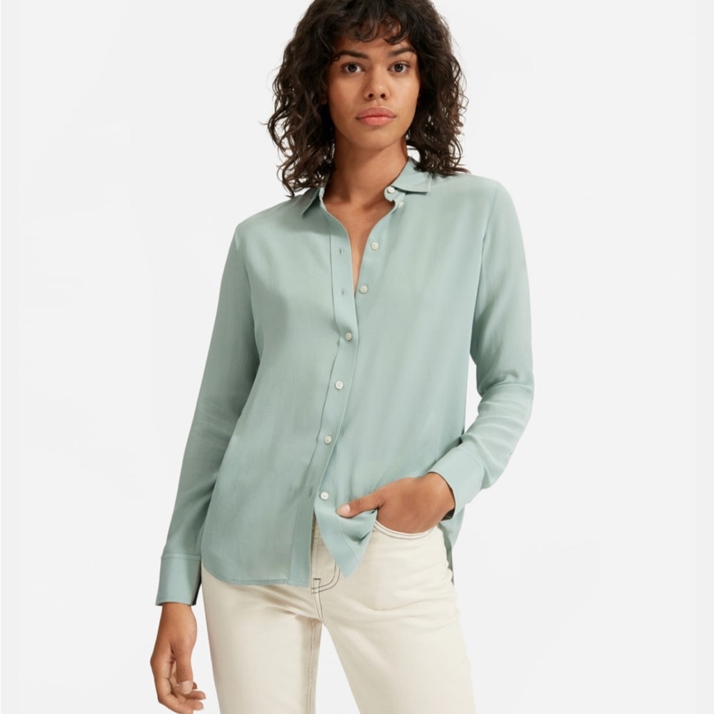 Everlane Soft Gray Collared Shirt